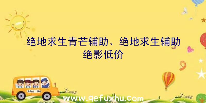 绝地求生青芒辅助、绝地求生辅助绝影低价