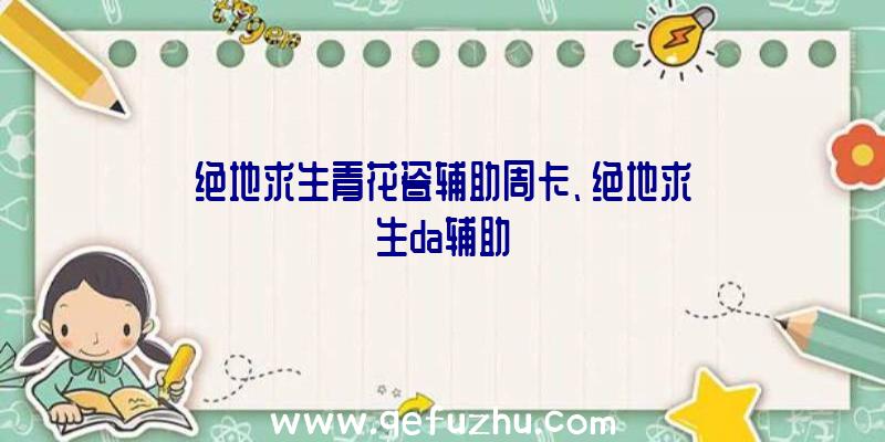 绝地求生青花瓷辅助周卡、绝地求生da辅助