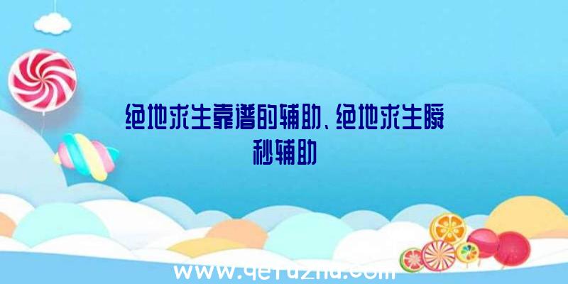 绝地求生靠谱的辅助、绝地求生瞬秒辅助