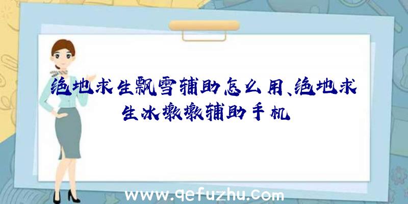 绝地求生飘雪辅助怎么用、绝地求生冰墩墩辅助手机