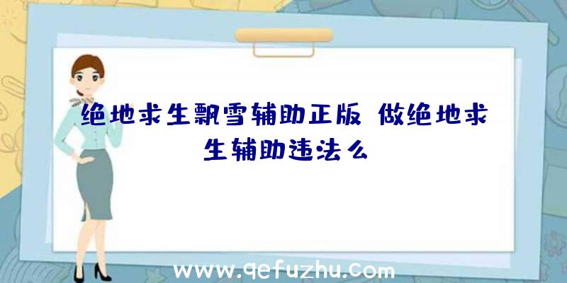 绝地求生飘雪辅助正版、做绝地求生辅助违法么