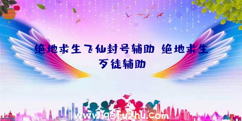 绝地求生飞仙封号辅助、绝地求生歹徒辅助