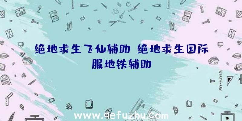 绝地求生飞仙辅助、绝地求生国际服地铁辅助