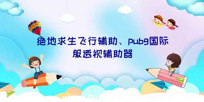 绝地求生飞行辅助、pubg国际服透视辅助器