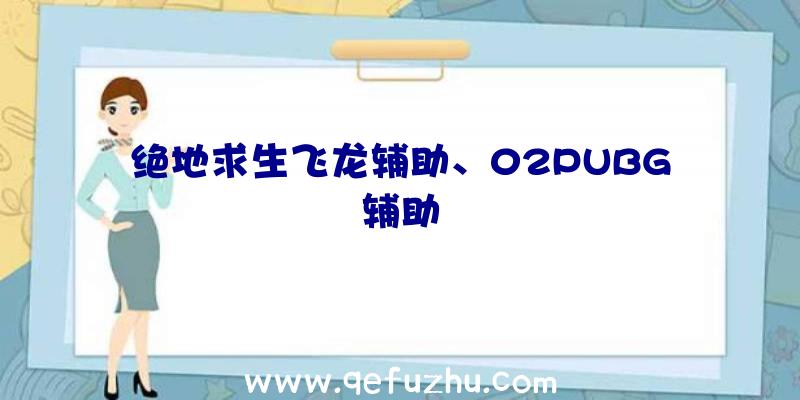 绝地求生飞龙辅助、02PUBG辅助