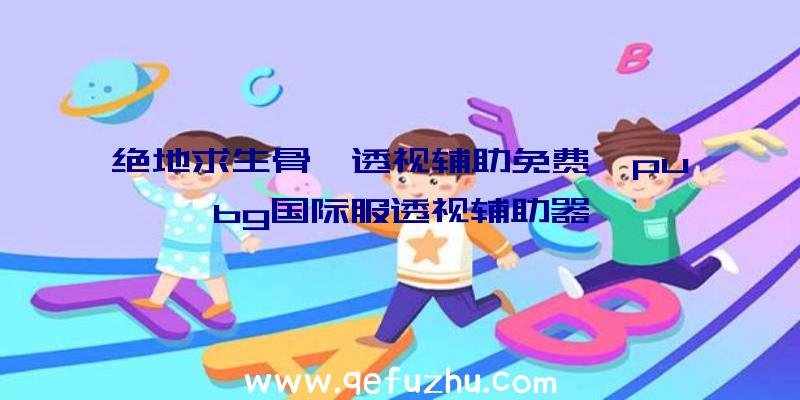 绝地求生骨骼透视辅助免费、pubg国际服透视辅助器