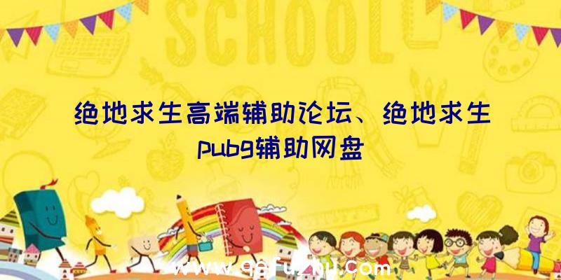 绝地求生高端辅助论坛、绝地求生pubg辅助网盘