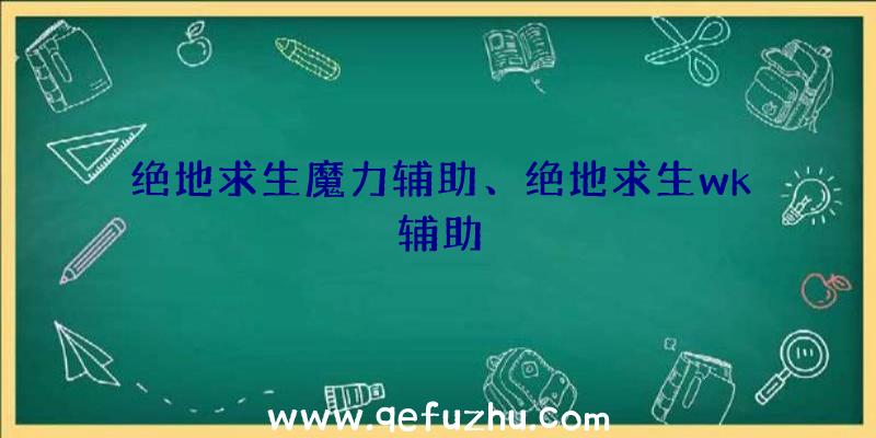 绝地求生魔力辅助、绝地求生wk辅助