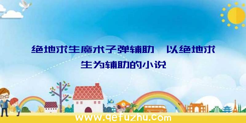 绝地求生魔术子弹辅助、以绝地求生为辅助的小说