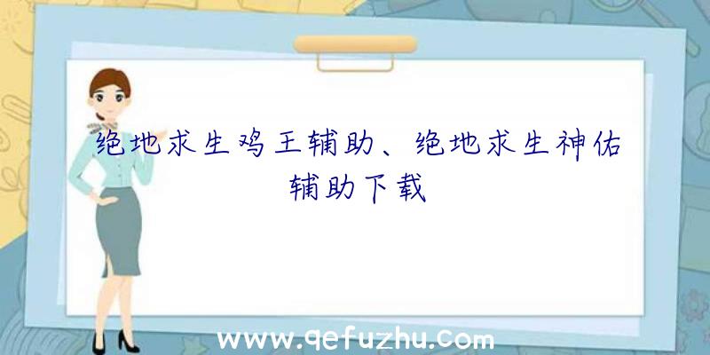 绝地求生鸡王辅助、绝地求生神佑辅助下载