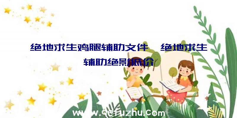 绝地求生鸡腿辅助文件、绝地求生辅助绝影低价