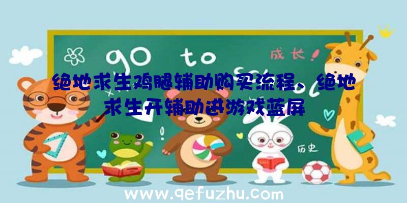 绝地求生鸡腿辅助购买流程、绝地求生开辅助进游戏蓝屏