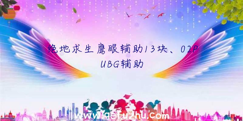 绝地求生鹰眼辅助13块、02PUBG辅助