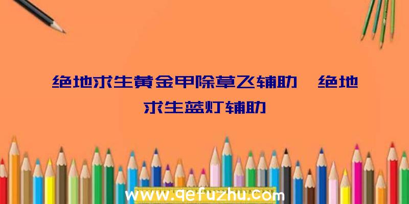 绝地求生黄金甲除草飞辅助、绝地求生蓝灯辅助