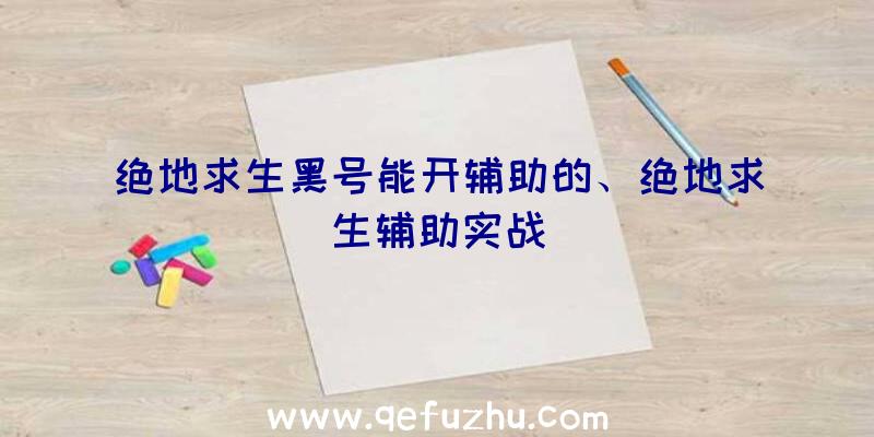 绝地求生黑号能开辅助的、绝地求生辅助实战