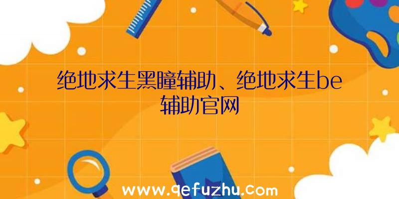 绝地求生黑瞳辅助、绝地求生be辅助官网