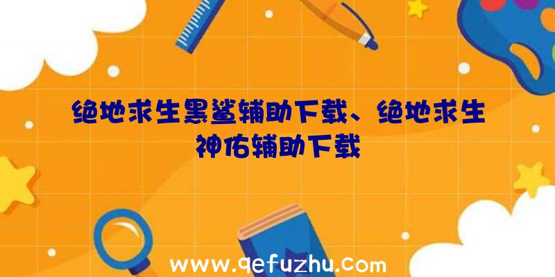 绝地求生黑鲨辅助下载、绝地求生神佑辅助下载