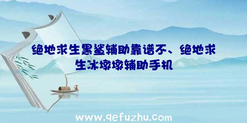 绝地求生黑鲨辅助靠谱不、绝地求生冰墩墩辅助手机