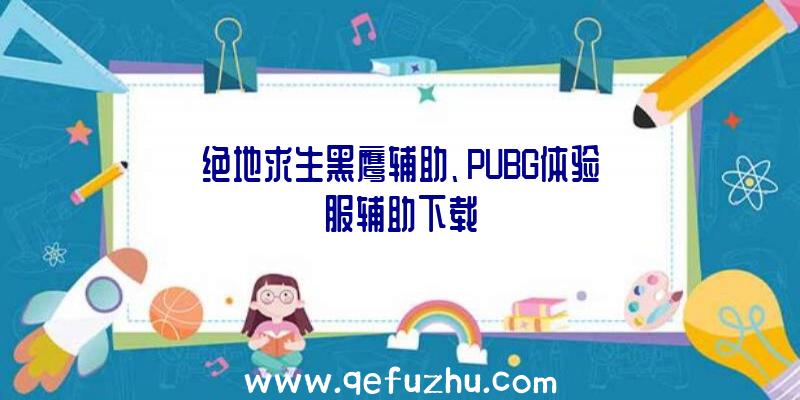 绝地求生黑鹰辅助、PUBG体验服辅助下载