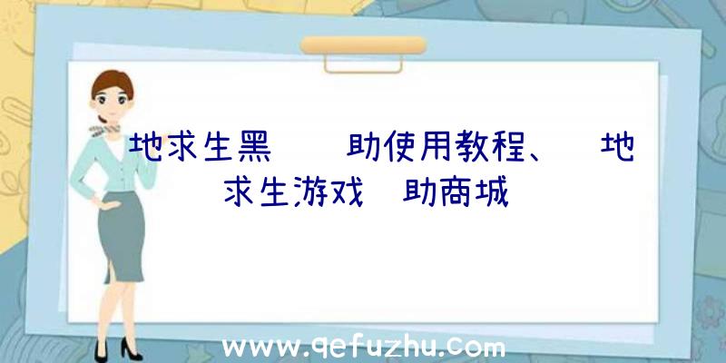 绝地求生黑鹰辅助使用教程、绝地求生游戏辅助商城