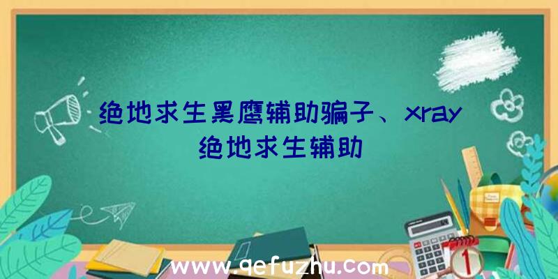 绝地求生黑鹰辅助骗子、xray绝地求生辅助