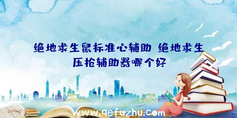 绝地求生鼠标准心辅助、绝地求生压枪辅助器哪个好