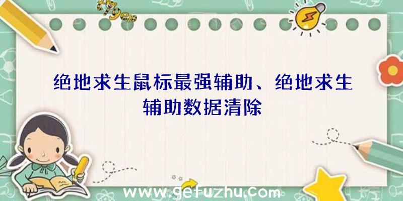 绝地求生鼠标最强辅助、绝地求生辅助数据清除