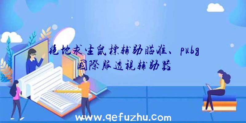 绝地求生鼠标辅助瞄准、pubg国际服透视辅助器