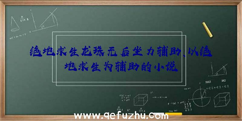 绝地求生龙珠无后坐力辅助、以绝地求生为辅助的小说