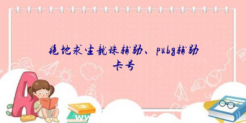 绝地求生龙珠辅助、pubg辅助卡号