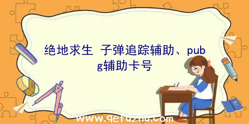 绝地求生+子弹追踪辅助、pubg辅助卡号