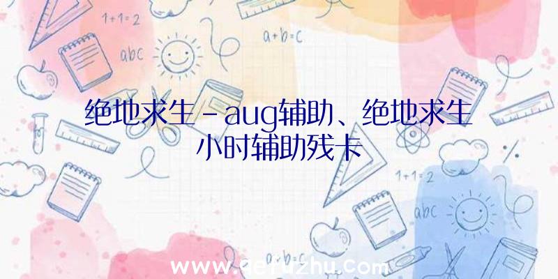 绝地求生-aug辅助、绝地求生小时辅助残卡