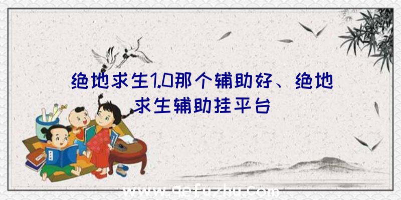 绝地求生1.0那个辅助好、绝地求生辅助挂平台