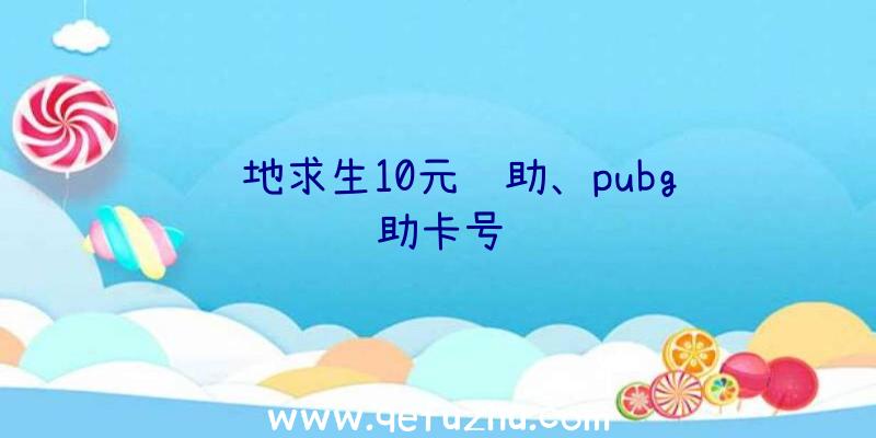 绝地求生10元辅助、pubg辅助卡号