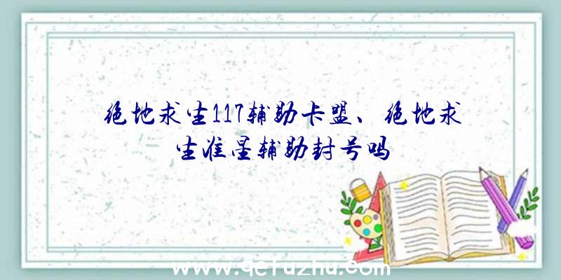 绝地求生117辅助卡盟、绝地求生准星辅助封号吗