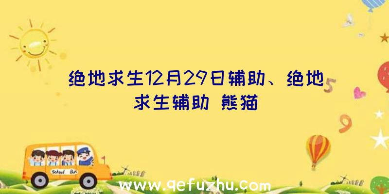 绝地求生12月29日辅助、绝地求生辅助