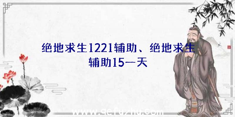 绝地求生1221辅助、绝地求生辅助15一天