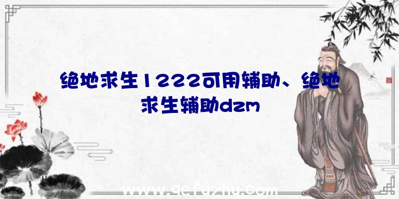 绝地求生1222可用辅助、绝地求生辅助dzm