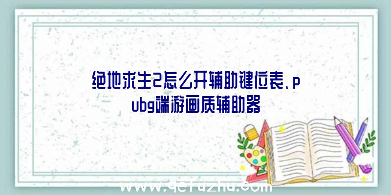 绝地求生2怎么开辅助键位表、pubg端游画质辅助器