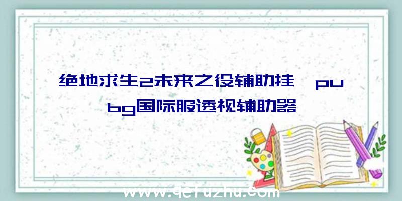 绝地求生2未来之役辅助挂、pubg国际服透视辅助器