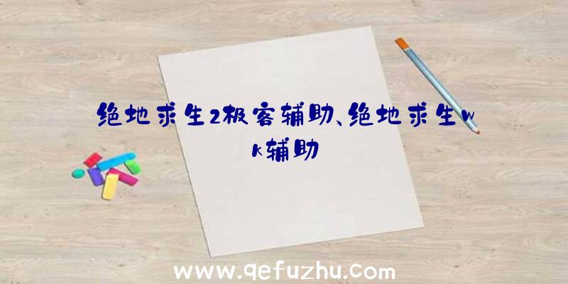 绝地求生2极客辅助、绝地求生wk辅助