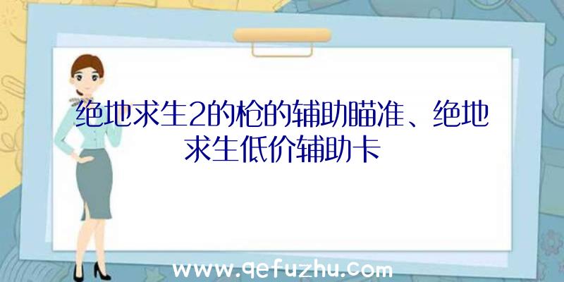 绝地求生2的枪的辅助瞄准、绝地求生低价辅助卡