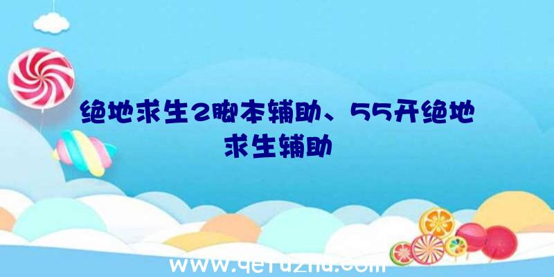 绝地求生2脚本辅助、55开绝地求生辅助