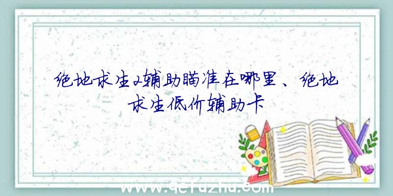 绝地求生2辅助瞄准在哪里、绝地求生低价辅助卡