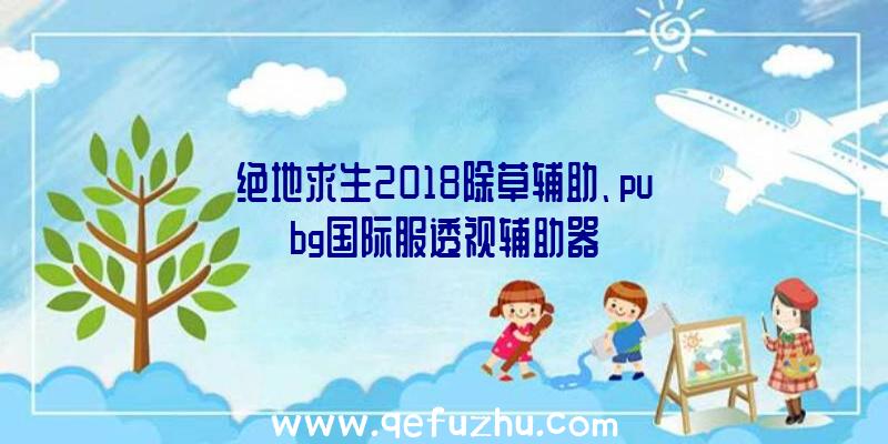 绝地求生2018除草辅助、pubg国际服透视辅助器