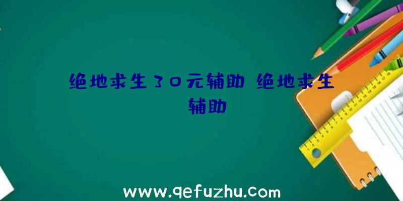 绝地求生30元辅助、绝地求生wk辅助