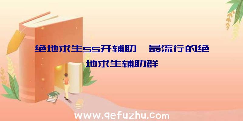 绝地求生55开辅助、最流行的绝地求生辅助群