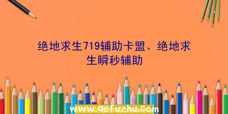 绝地求生719辅助卡盟、绝地求生瞬秒辅助