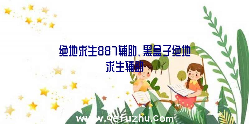 绝地求生887辅助、黑盒子绝地求生辅助