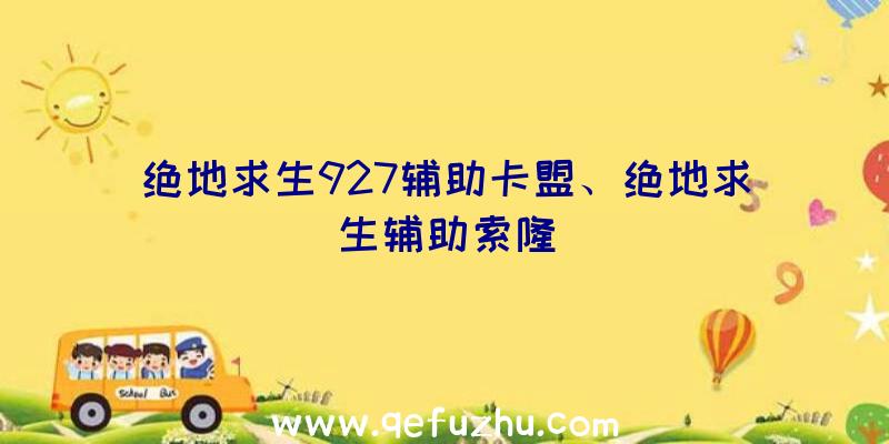 绝地求生927辅助卡盟、绝地求生辅助索隆